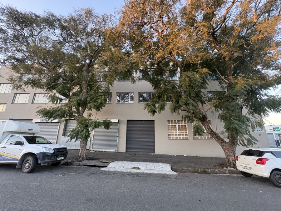 Commercial Property for Sale in Arcadia Eastern Cape